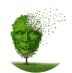 Demencia frontotemporal