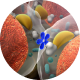 Implantes hormonales