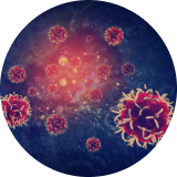 Disminución del riesgo