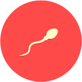 Presencia de sangre en el sémen