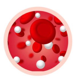 Sarcopenia secundaria