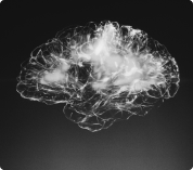 Desbalances en los neurotransmisores