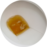 Orina turbia u oscura