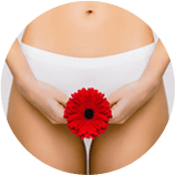 Regeneración vaginal