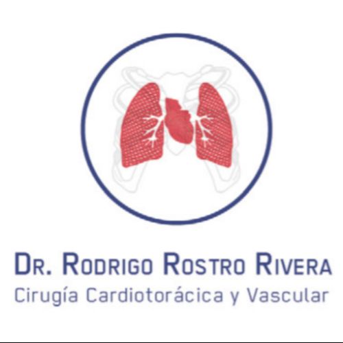 Rodrigo Rostro, Cirujano Cardiovascular y Toracico en Guadalajara | Agenda una cita online