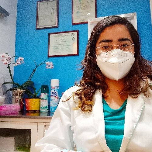 Dra. Melissa Avilés Vera, Médico Homeópata en Gustavo A. Madero | Agenda una cita online