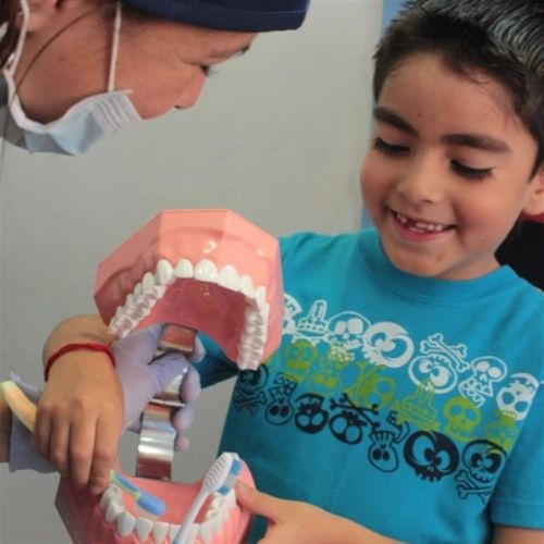 Gabriela Chavez Castillo, Dentista en Cuauhtémoc | Agenda una cita online