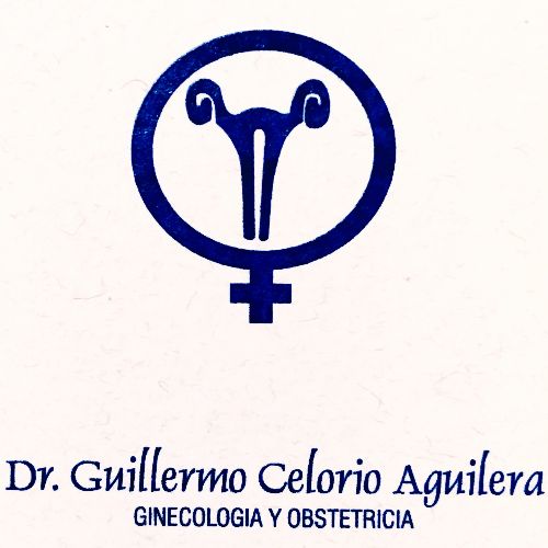 Guillermo Celorio Aguilera Celorio Aguilera, Ginecólogo Obstetra en Tlalpan | Agenda una cita online