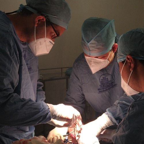 Kelvis Jose Torres Delgado, Cirujano Ortopedista en Coatzacoalcos | Agenda una cita online