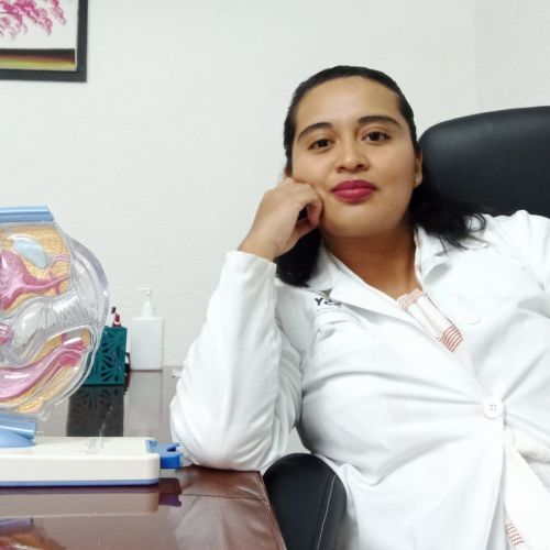 Lluvia Rosas Tosca, Ginecólogo Obstetra en Mérida | Agenda una cita online