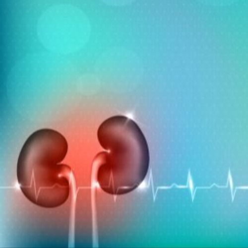 José Rubén Rosano Chamorro, Nefrólogo en Tlaxcala | Agenda una cita online