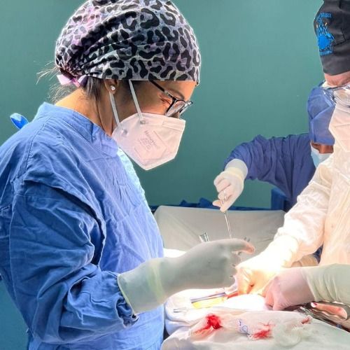 Dra Barbara Guzmán Jiménez, Cirujano Oncologo en Oaxaca de Juárez | Agenda una cita online