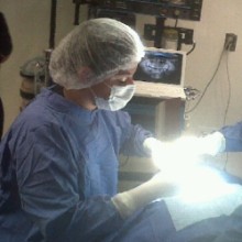 Ileana Guadalupe Rangel Nieto, Dentista en Álvaro Obregón | Agenda una cita online