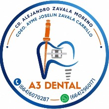 Alejandro Zavala Moreno