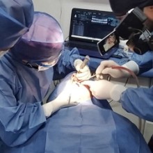María De Los Angeles Hernández Piña, Implantología y odontología estética en Puebla | Agenda una cita online